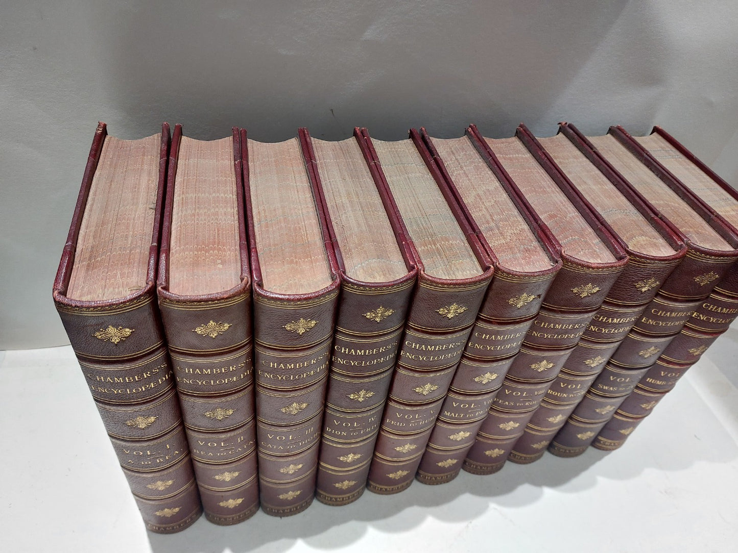 Chamber's Encyclopaedia 10 Vol Set (1901) Heavy Quarter Leather Bound Books1