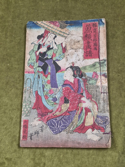 Seisai Yoshimura Utagawa 歌川芳邨 Ohashido Fish Book gyorui syo 魚類書譜大橋堂板 Woodblock0