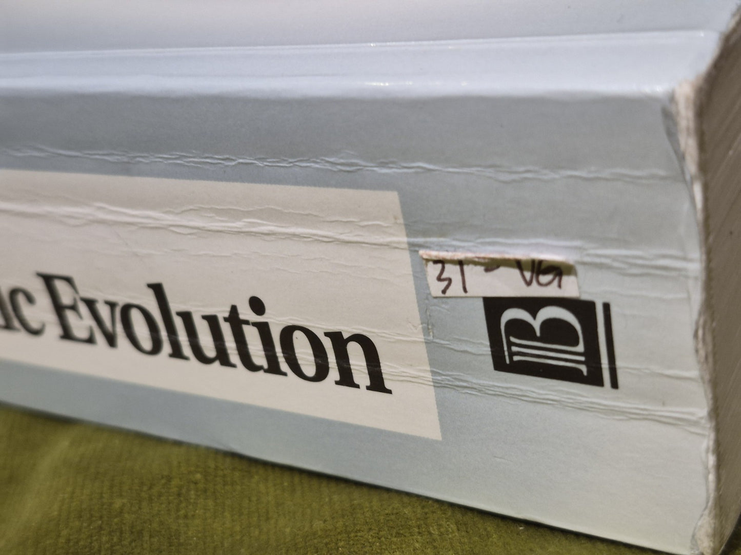 The Handbook of Human Symbolic Evolution by Charles R. Peters 19993