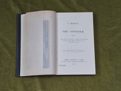 A Manual of The Coniferae by James Veitch & Sons 1881 HC / Antique4