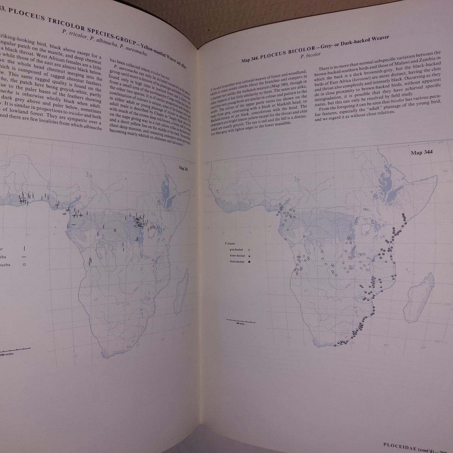 An Atlas of Speciation in African Passerine Birds  Hall & Moreau 1970 HBDJ11