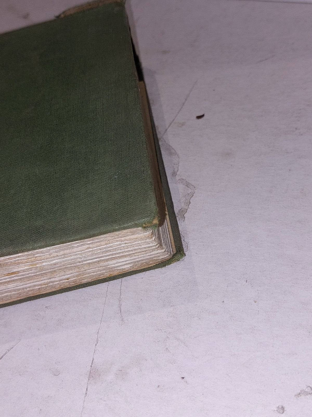 Islands Of Queen Wilhelmina (1927) By Violet Clifton, 1st Ed Hb Book2