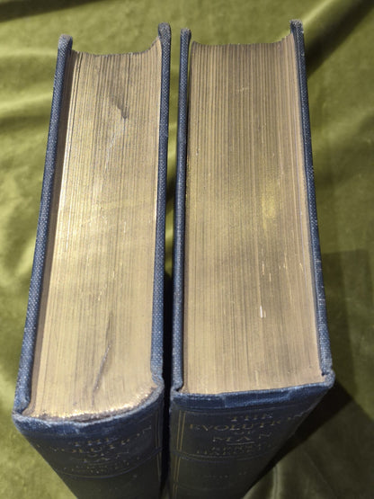 The Evolution of Man (1905) Complete Two Volumes Ernst Haeckel4