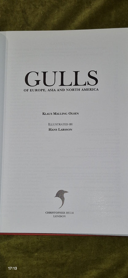 Gulls of Europe, Asia and North America (2005 Hardback) Helm Identification 4