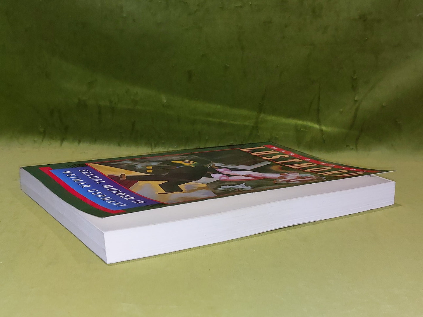 Lustmord : Sexual Murder in Weimar Germany By Maria Tatar 1995 Pb Book2