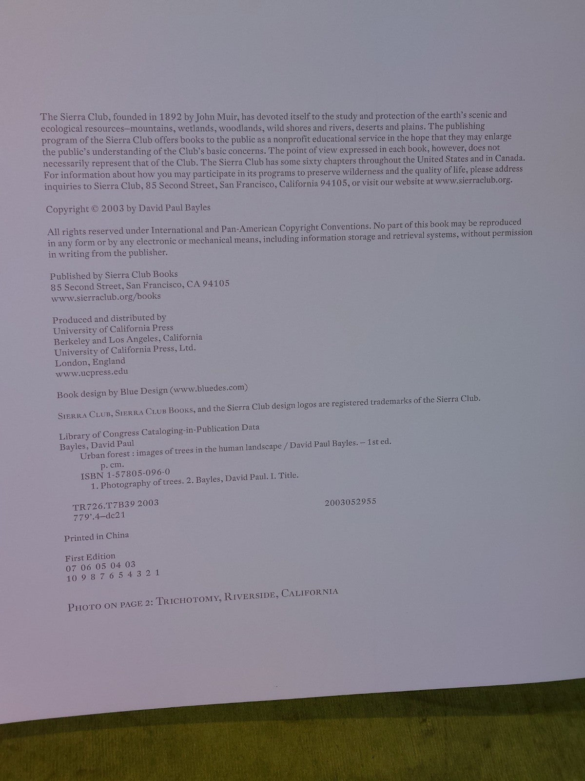 Urban Forest (2003) David Paul Bayles5