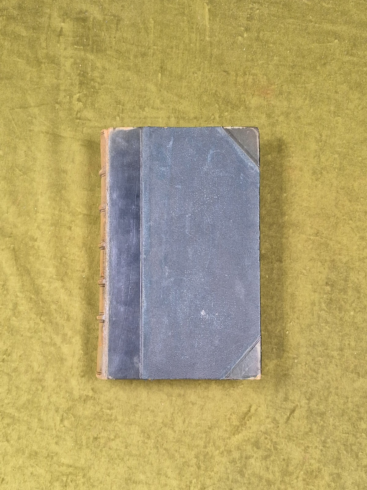 Synopsis hepaticarum: Coniunctis studiis scripserunt et edi curaverunt - 18441