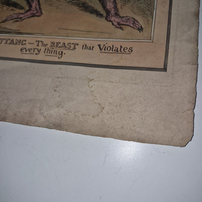 Antique Satirical Political Print. The Orang Outang  The Beast That Violates...6