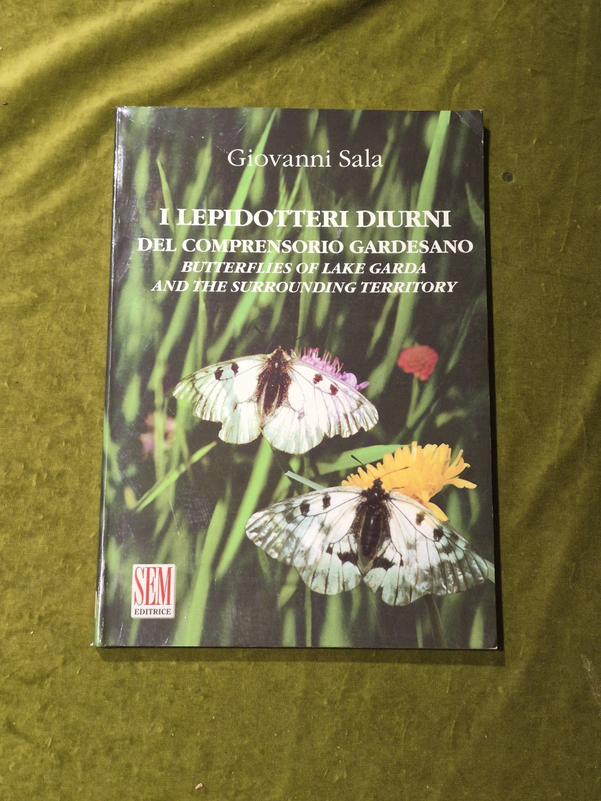 I Lepidotteri Diurni del Comprensorio Gardensano - Giovanni Sala0