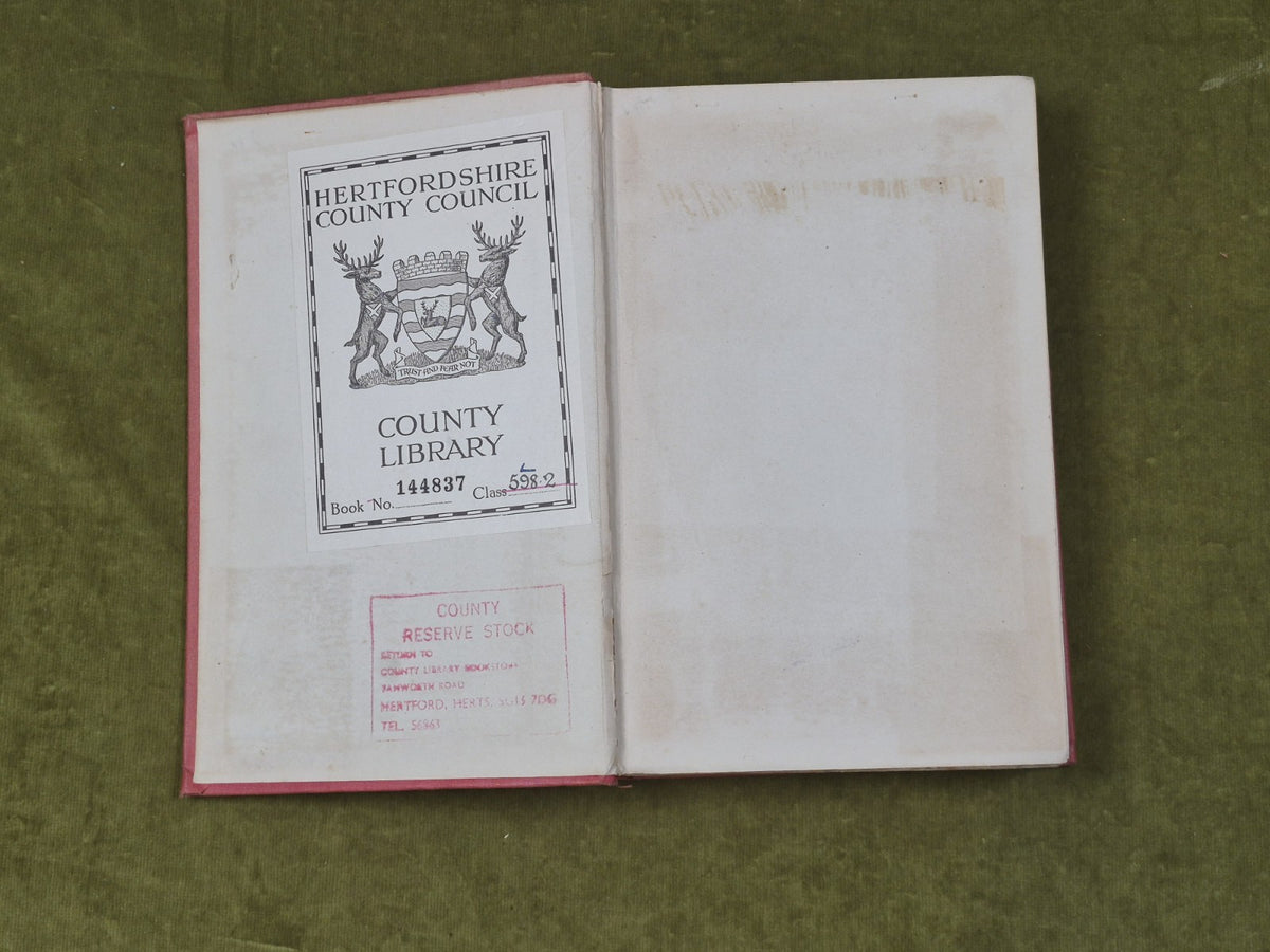The Birds of the Riviera - Collingwood Ingram , Witherby 1926 HB Ex Lib3