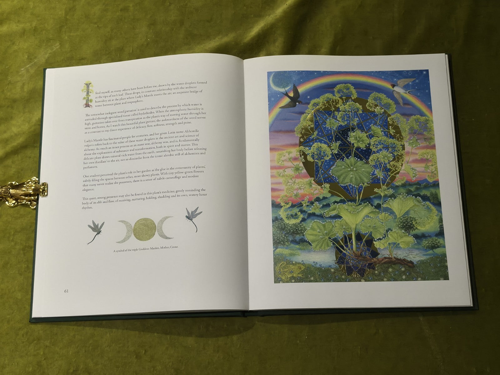 Weeds in the Heart - Nathaniel Hughes Fiona Owen Limited 1st Edition Signed 20169