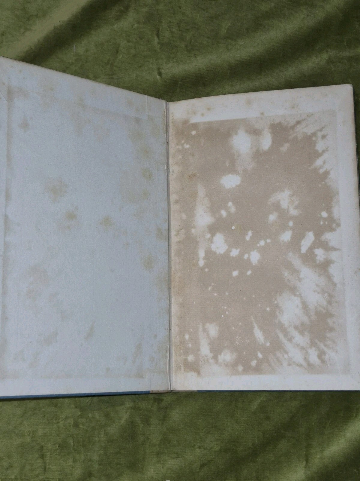 An Essay on the Life and Genius of Robert Burns (1887) Thomas Hutchinson. 2