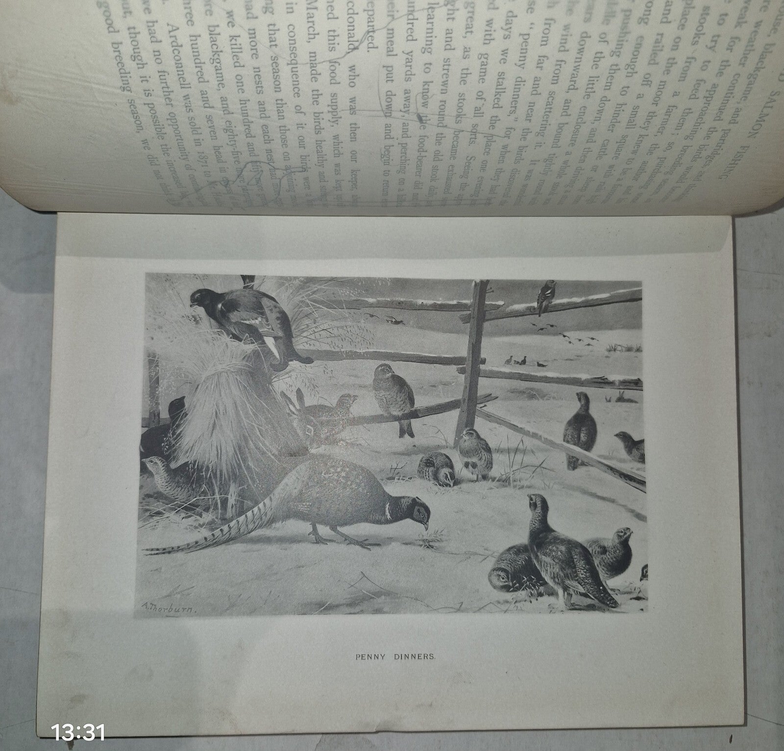 Shooting and Salmon Fishing and Highland Sport, A Grimble, Kegan Paul 190210