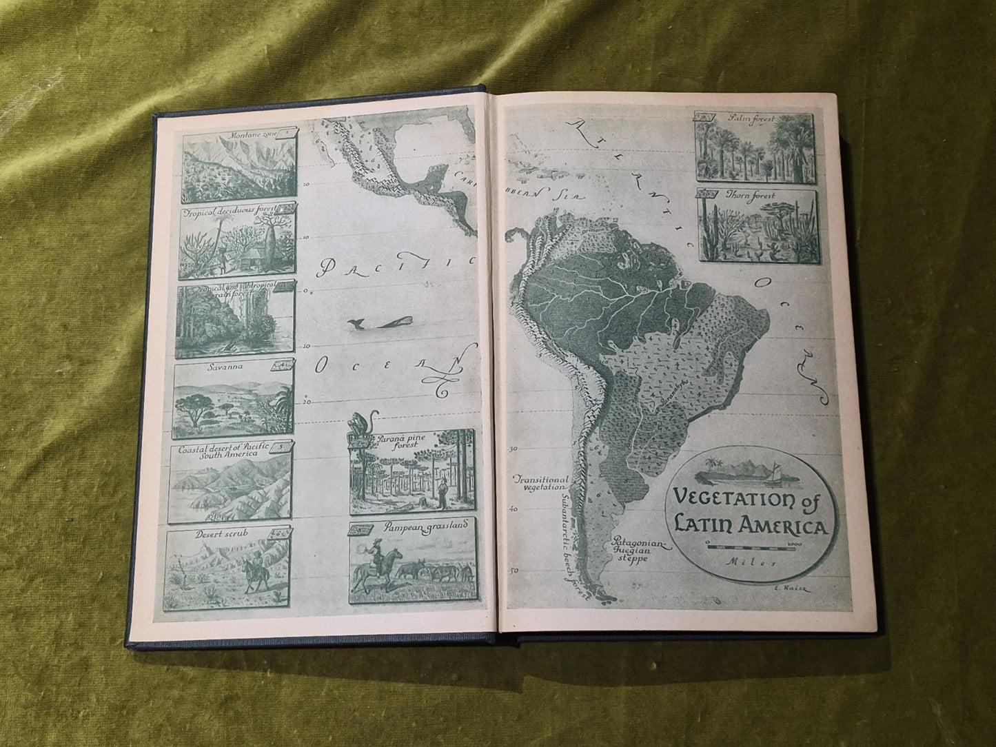 Plants and Plant Science in Latin America - Frans Verdoorn3