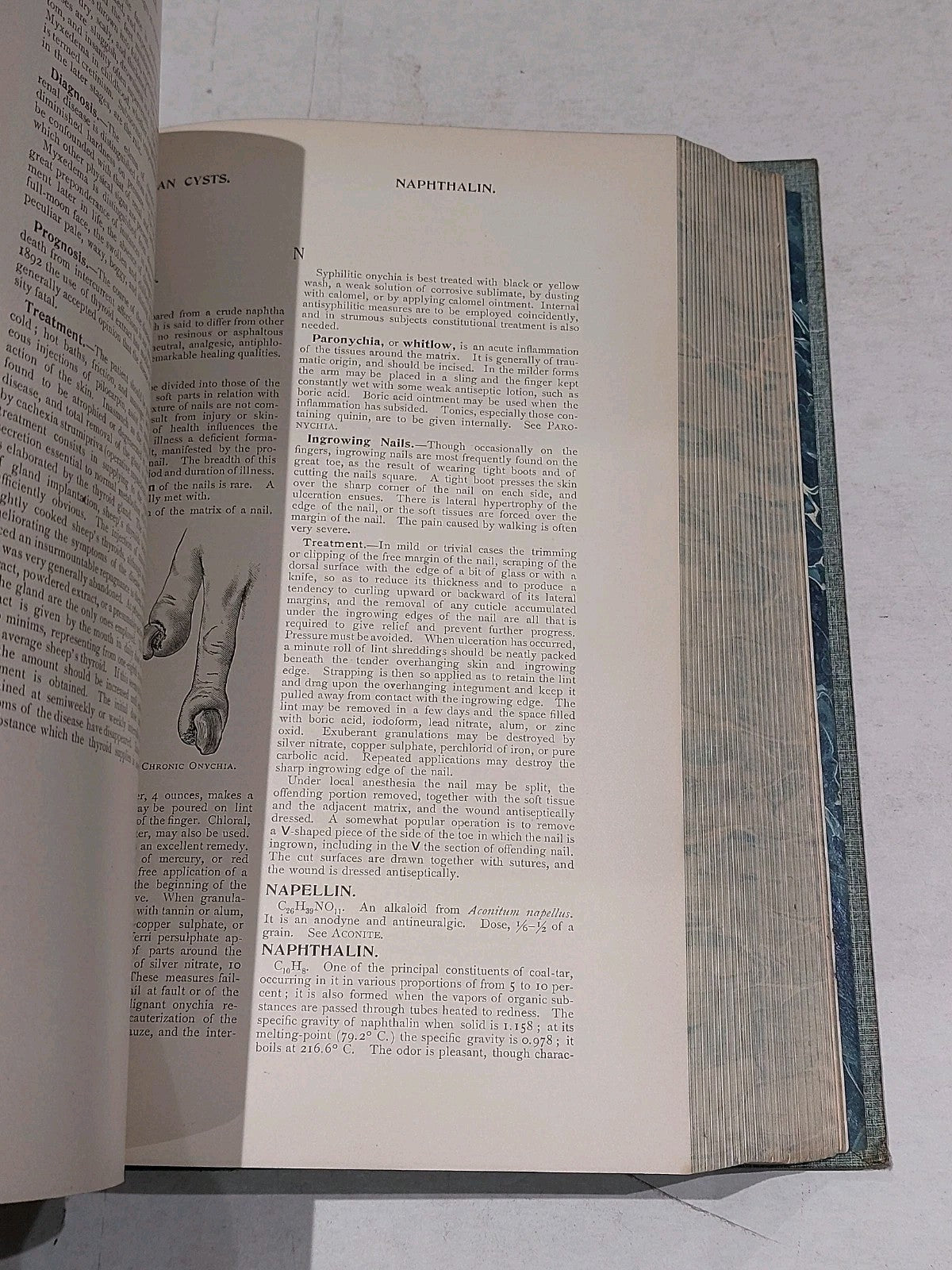 Cyclopedia Of Practical Medicine And Surgery By Gould & Walter (1901) Hb Leather7