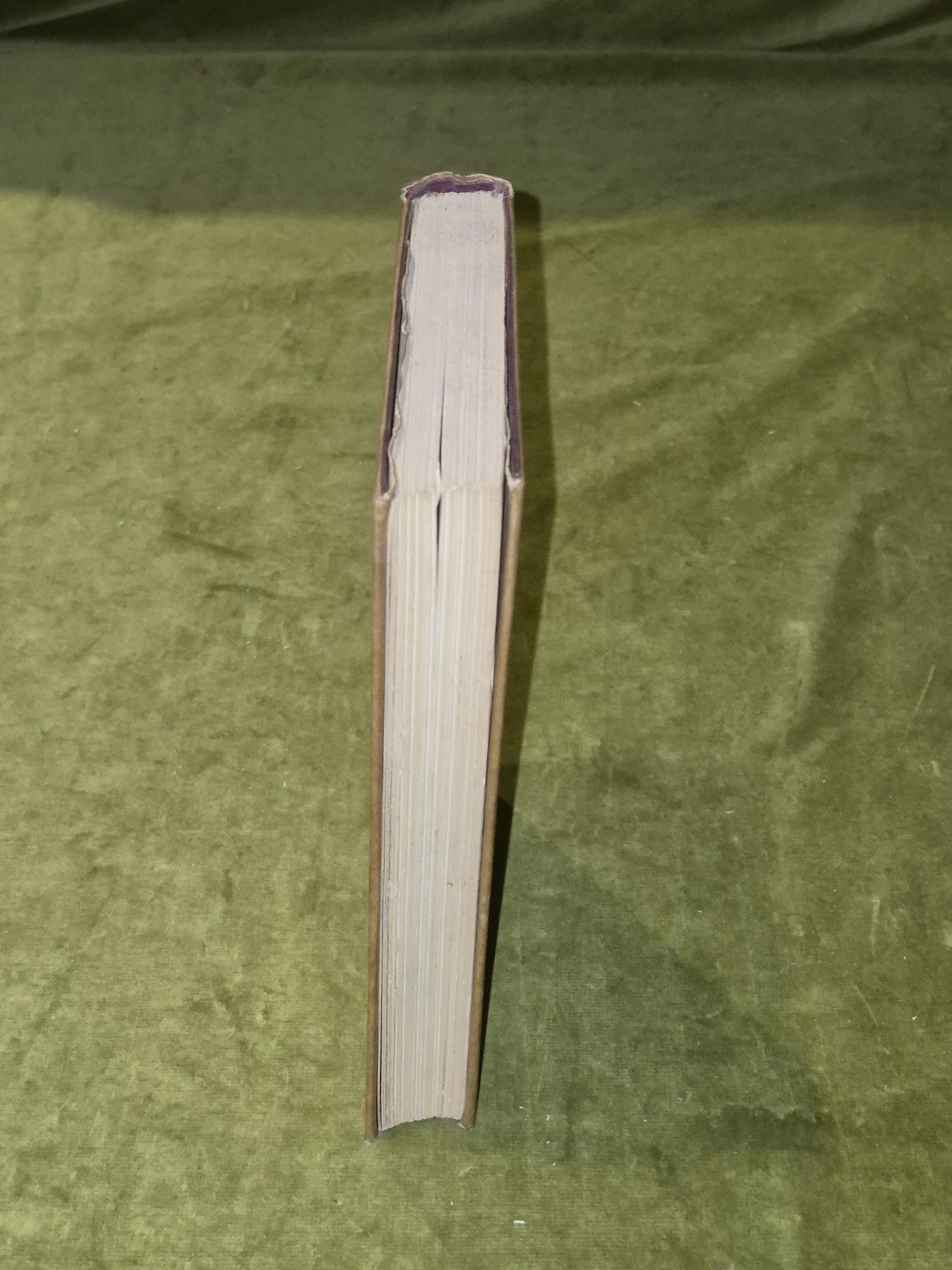 The Dogs of Ireland – 1st Ed 1949 – Anna Redlich – Irish Breeds – w/ Dust Jacket6