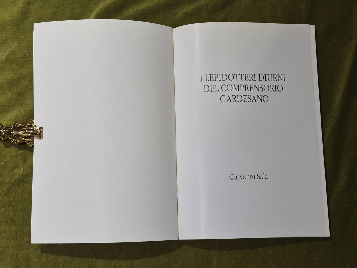 I Lepidotteri Diurni del Comprensorio Gardensano - Giovanni Sala4