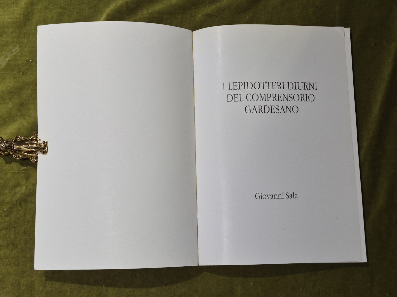 I Lepidotteri Diurni del Comprensorio Gardensano - Giovanni Sala4