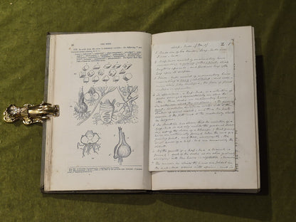 Elements of Botany - John Lindley , Bradbury & Evans 18614