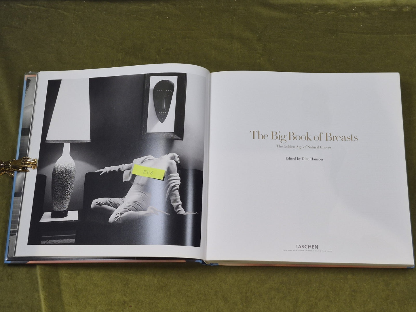 The Big Book of Breasts by Dian Hanson , Taschen 2006 HB DJ3