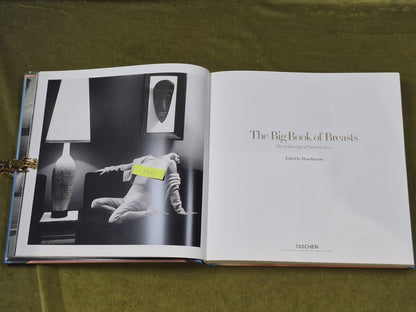 The Big Book of Breasts by Dian Hanson , Taschen 2006 HB DJ3