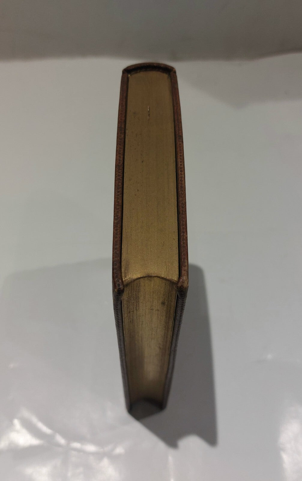 Antiquarian Nightingale Valley, Edited By Giraldus (1860) Leather Bound Book1