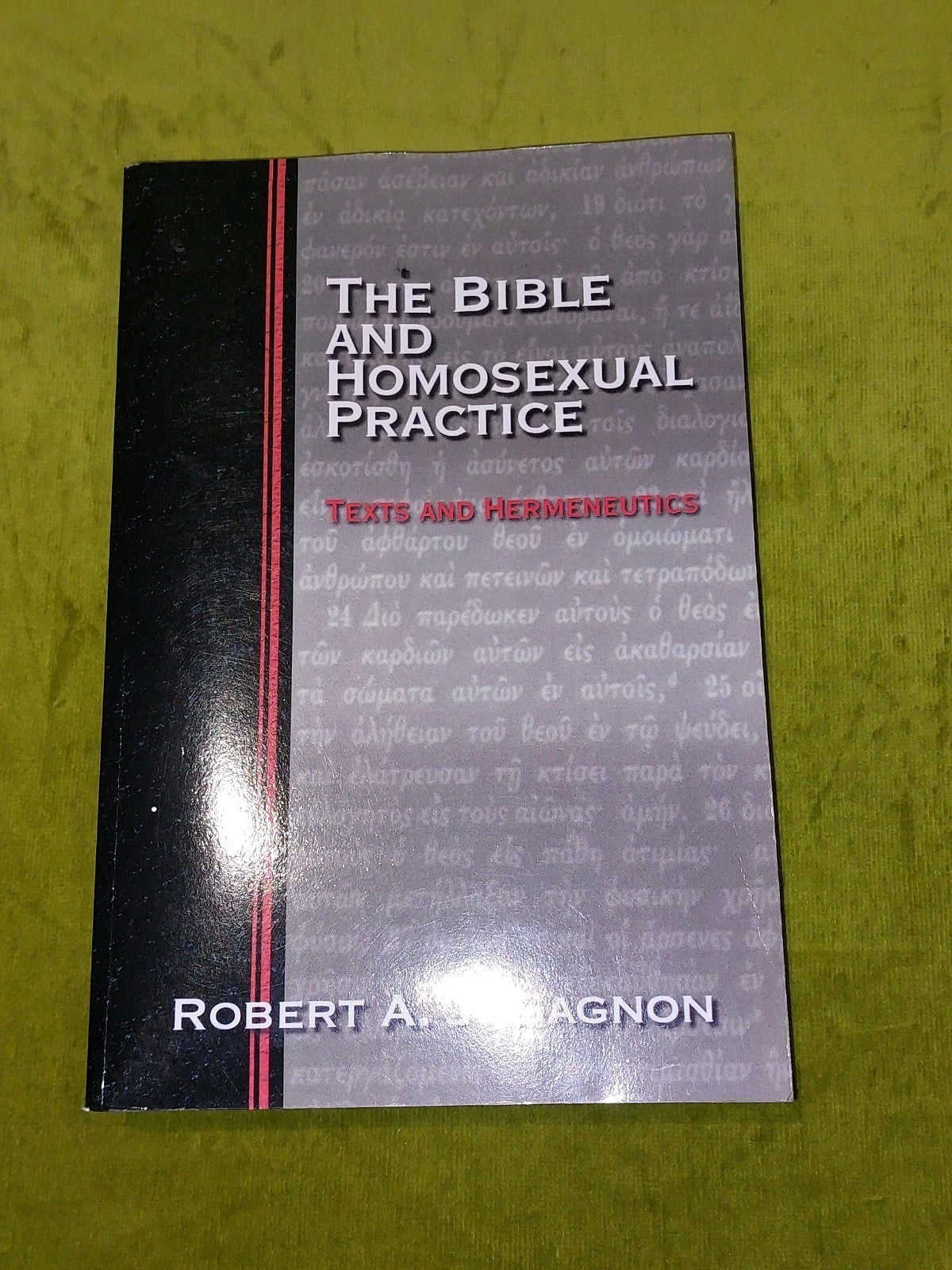 Bible and Homosexual Practice  Robert Gagnon  (2001)0