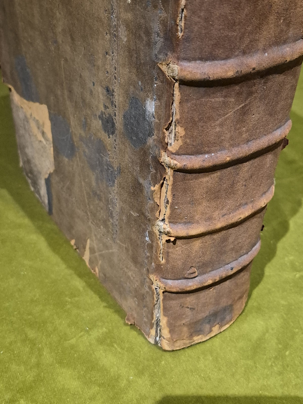 1637 Greek-Roman Lexicon - In Quo Ex Primitivorum - Ioannis Scapulae - Leather14