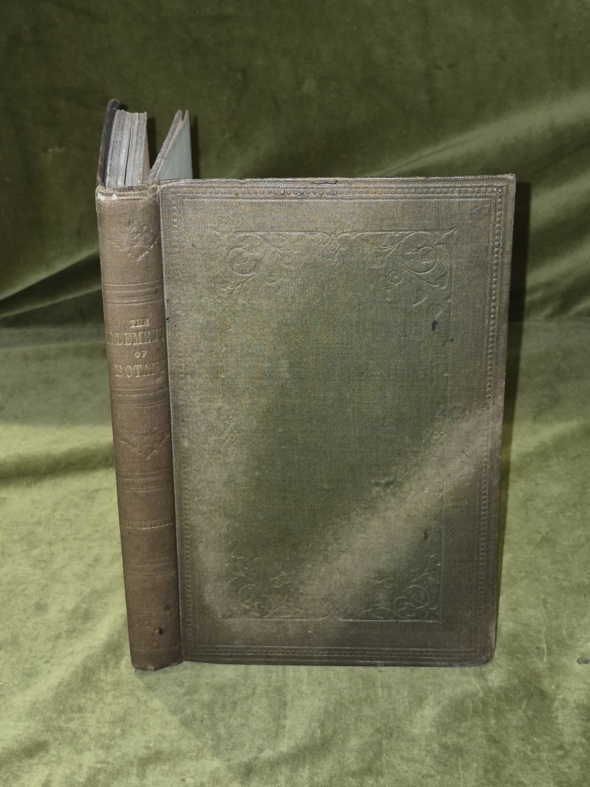 Elements of Botany - John Lindley , Bradbury & Evans 18610