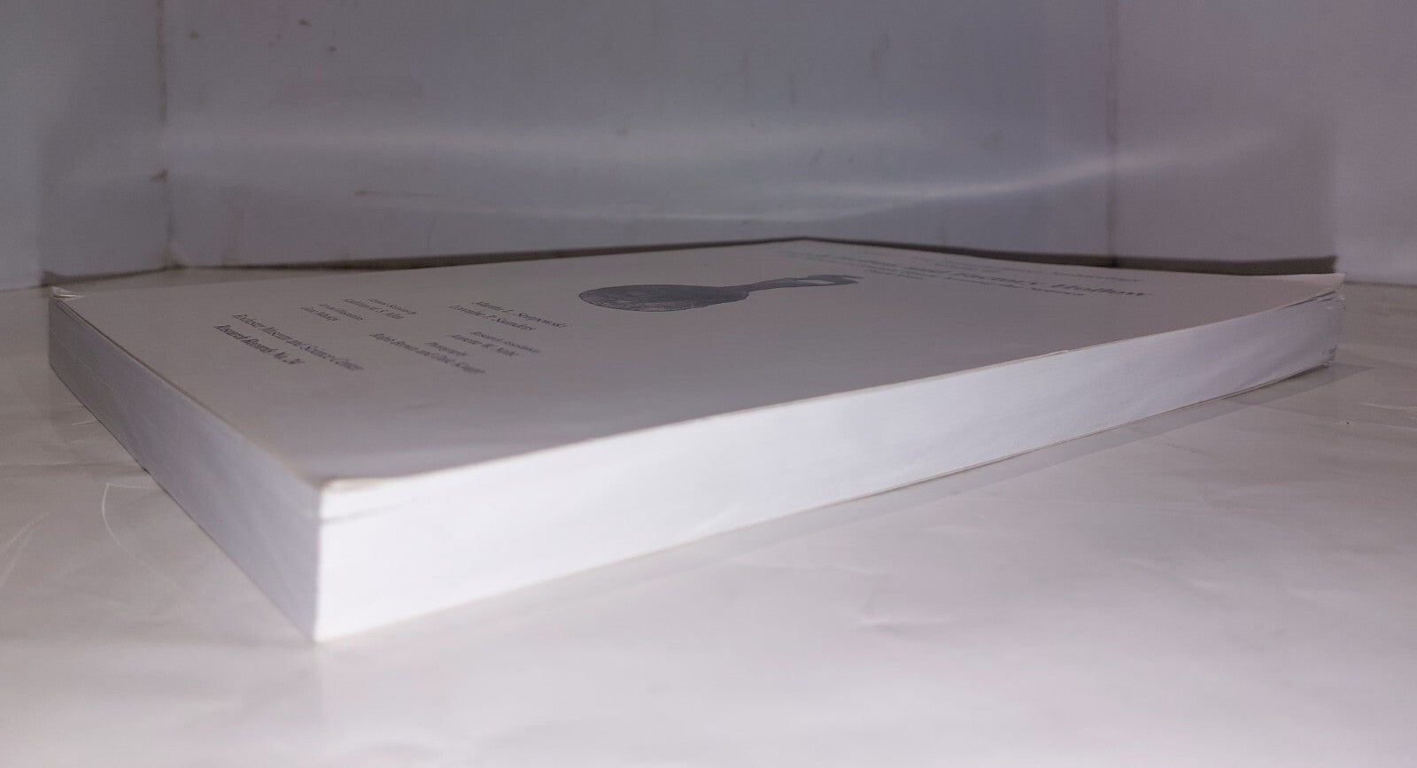 Dutch Hollow and Factory Hollow  the advent of dutch trade among the Seneca6