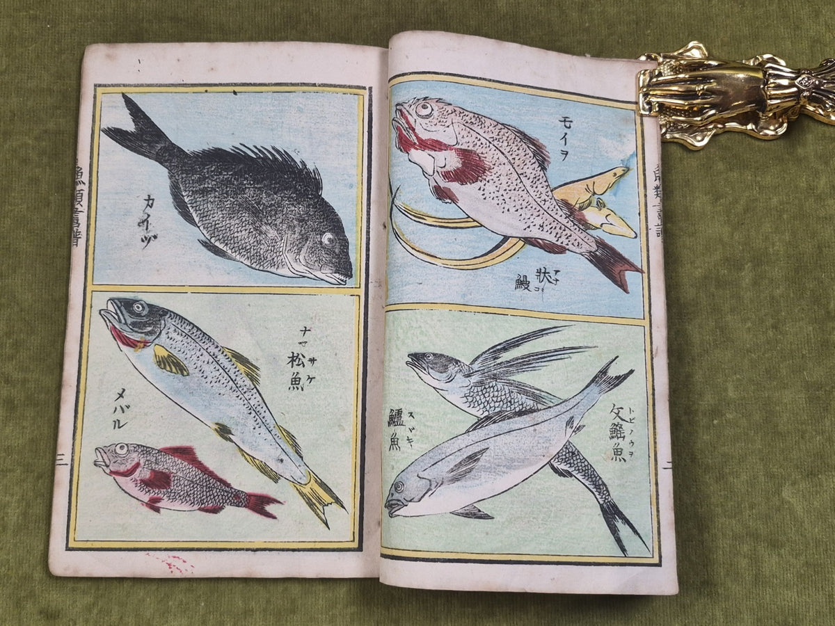 Seisai Yoshimura Utagawa 歌川芳邨 Ohashido Fish Book gyorui syo 魚類書譜大橋堂板 Woodblock9