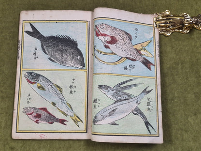 Seisai Yoshimura Utagawa 歌川芳邨 Ohashido Fish Book gyorui syo 魚類書譜大橋堂板 Woodblock9