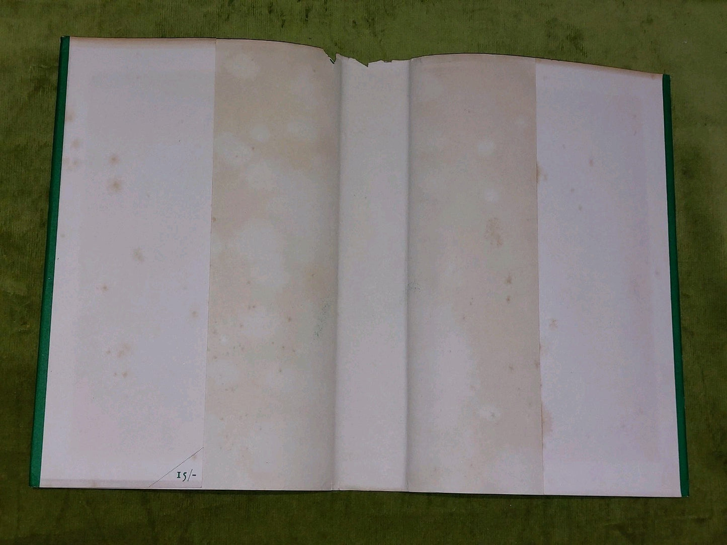 Laurel bank School 19031953 (1953)3