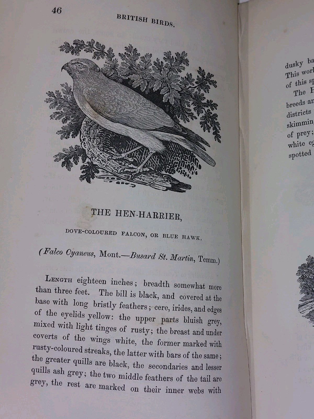 History of British Birds ~ BEWICK Vols I & II (1847)6