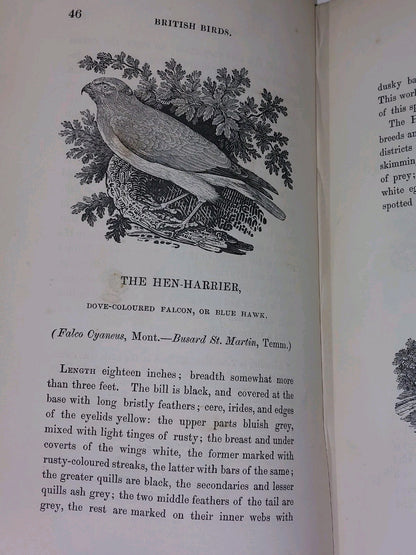 History of British Birds ~ BEWICK Vols I & II (1847)6