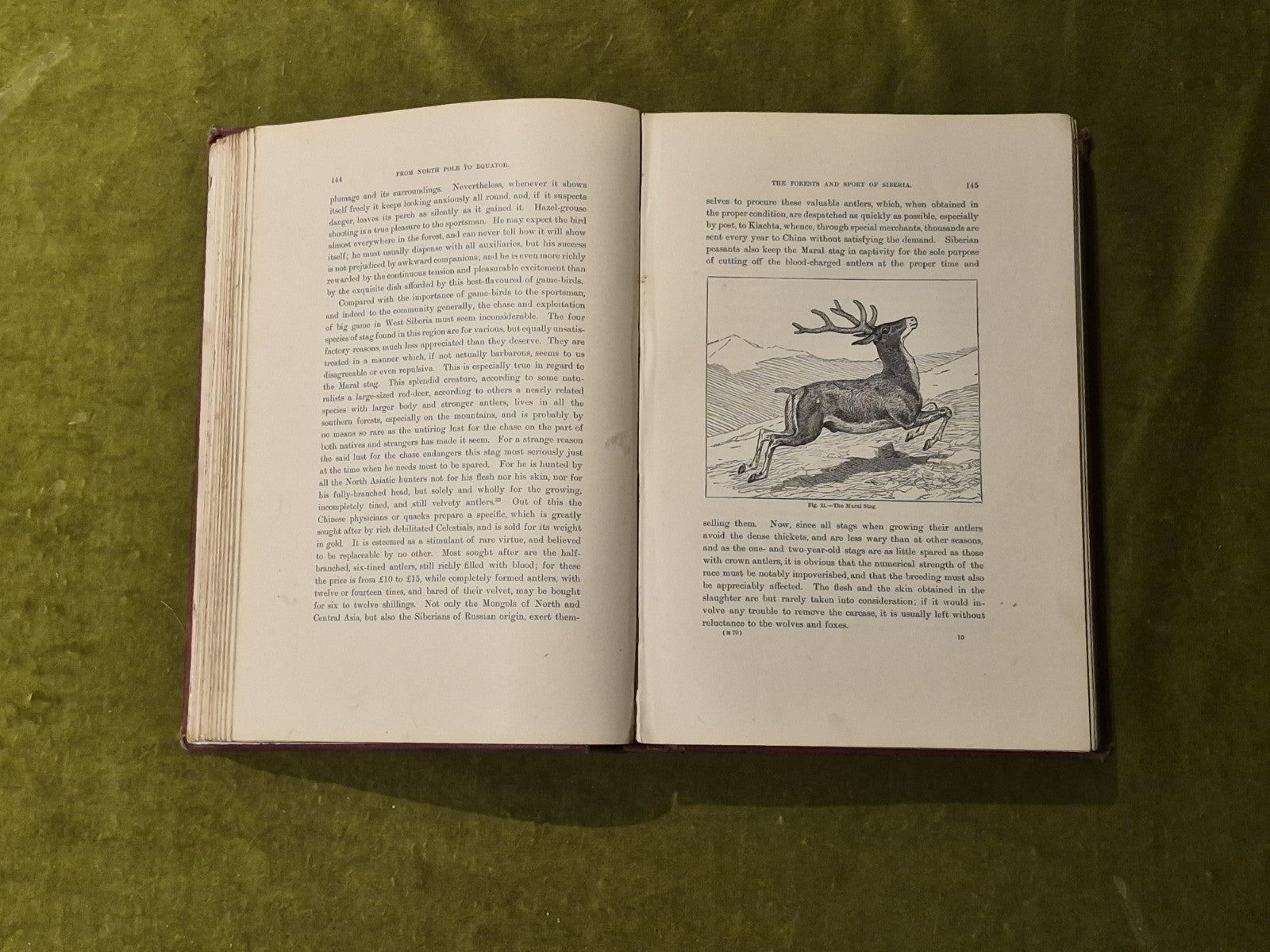 From North Pole To Equator Wild Life And Scenes In Many Lands - Brehm 1st 18976