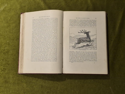 From North Pole To Equator Wild Life And Scenes In Many Lands - Brehm 1st 18976