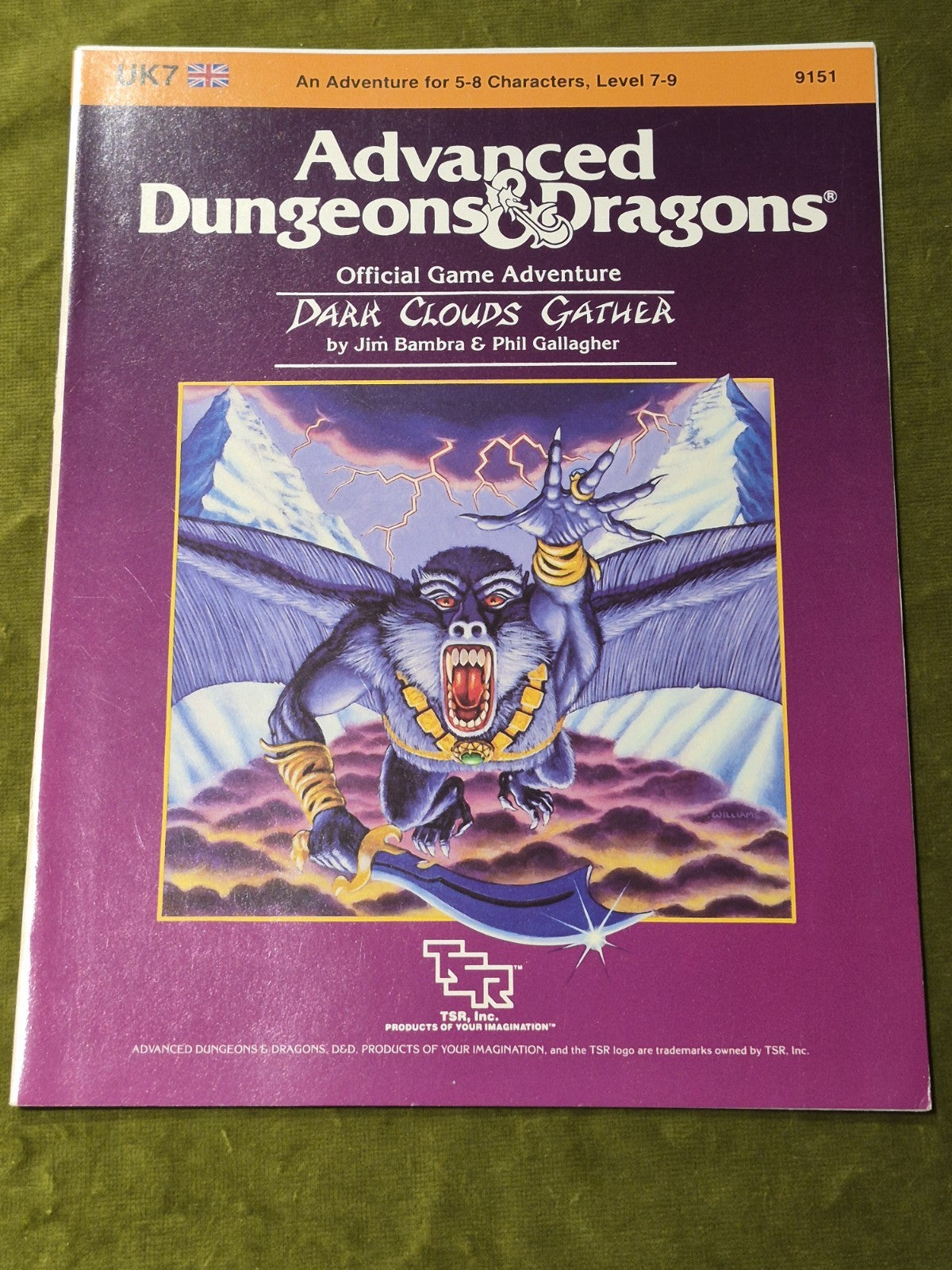 Advanced Dungeons & Dragons - Dark Clouds Gather - UK7 - 9151 - 19850