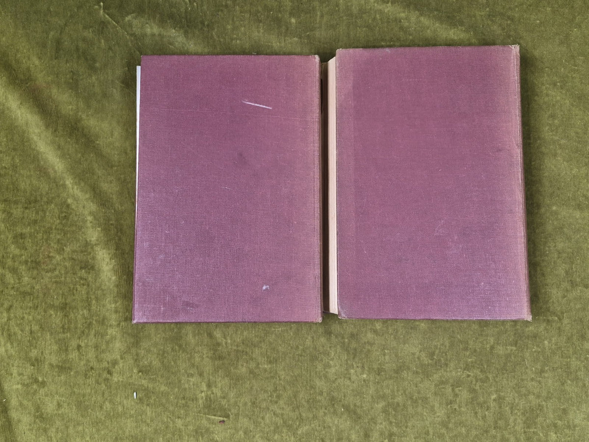 The Princess & Curdie + Princess & the Goblin - George Macdonald , Blackie2