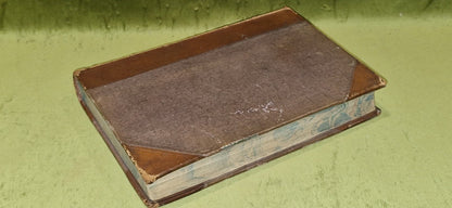 Factory Girl or the Dark Places of Glasgow (1868) by David Pae pub. John Menzies13