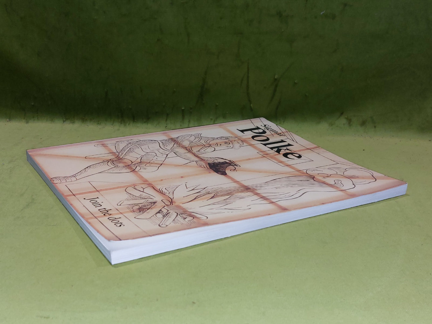 Sigmar Polke Join the Dots (1995)7