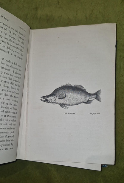 1867 THE NILE TRIBUTARIES OF ABYSSINIA BY BAKER 2 MAPS 24 PLATES & HAMRAN ARABS2