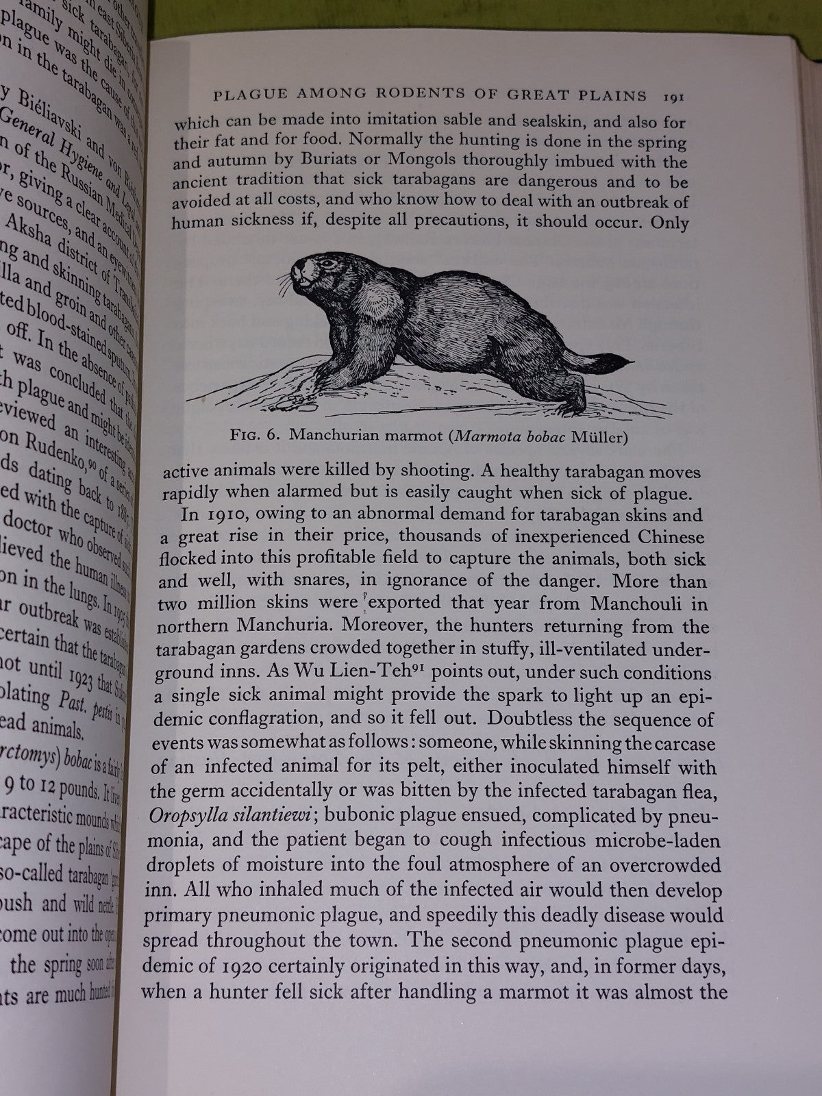 The Conquest of Plague: Epidemiology by Fabian Hirst (1953)5