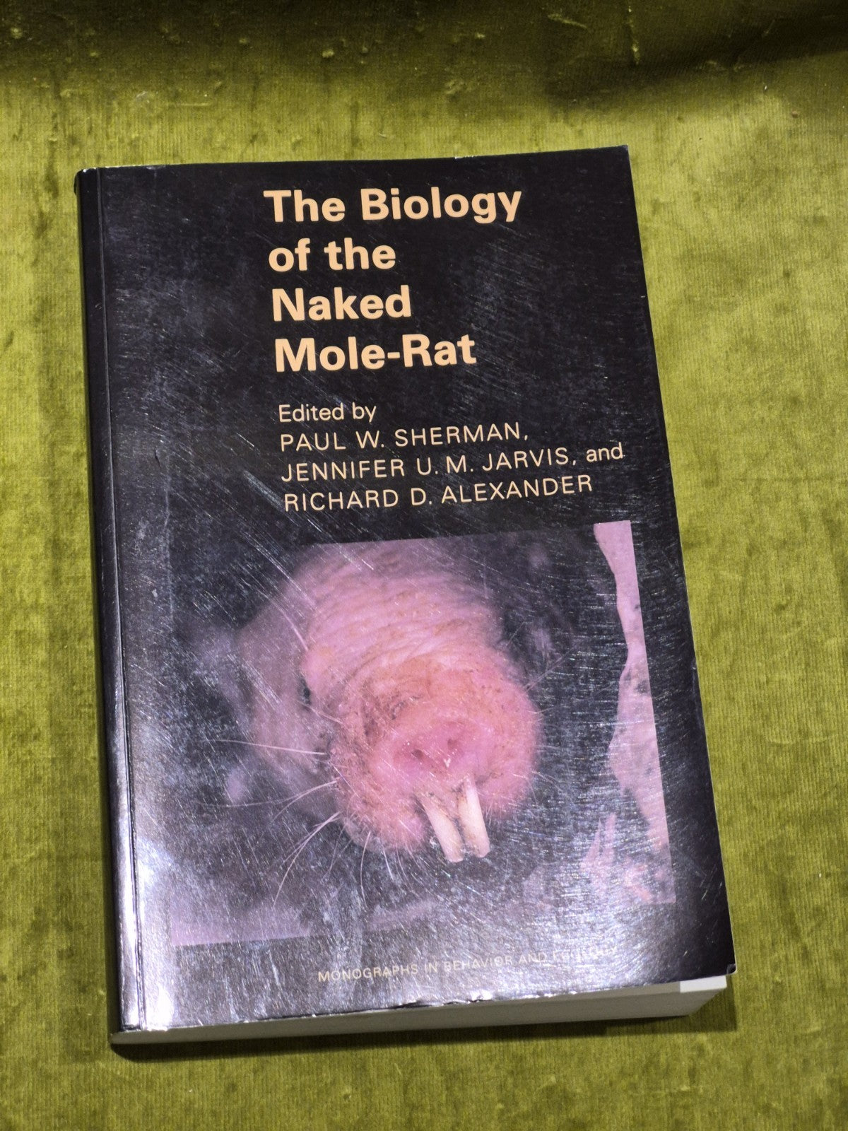 The Biology of the Naked Mole-Rat Paperback Paul W. Sherman0