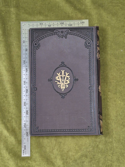 A Manual of The Coniferae by James Veitch & Sons 1881 HC / Antique2