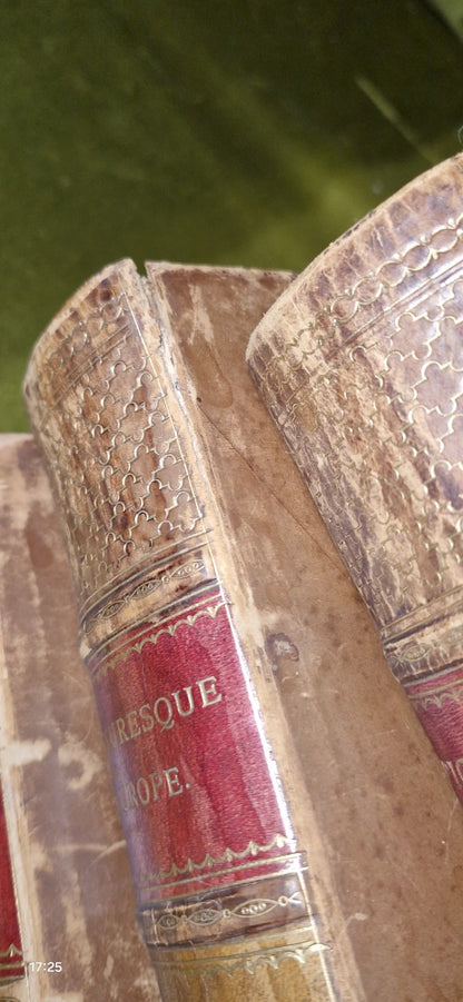 Picturesque Europe: Great Britain and the Continent 3 Volumes (First 1875-1879)5