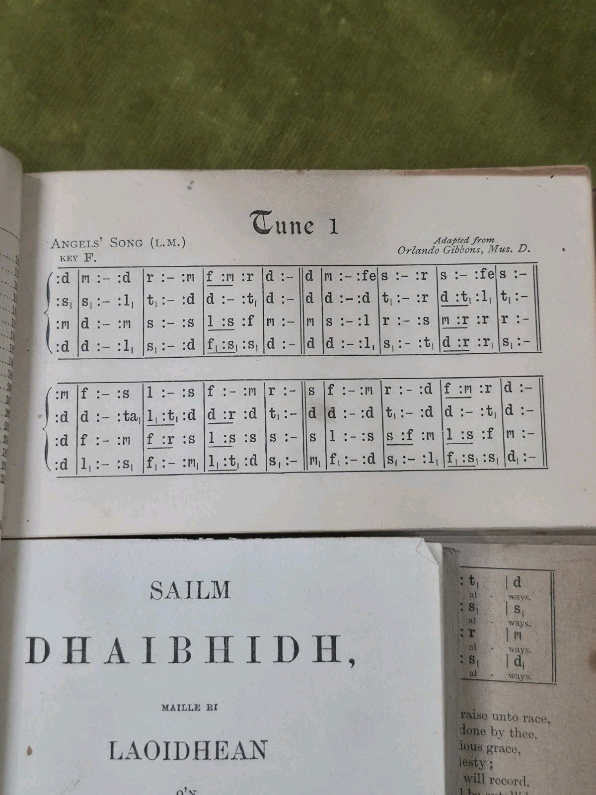 Sailm Dhaibhidh Maille Ri Laoidhean O'n Scrioptur Naomha Smith Gaelic Psalms8