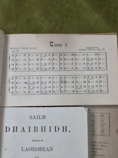Sailm Dhaibhidh Maille Ri Laoidhean O'n Scrioptur Naomha Smith Gaelic Psalms8