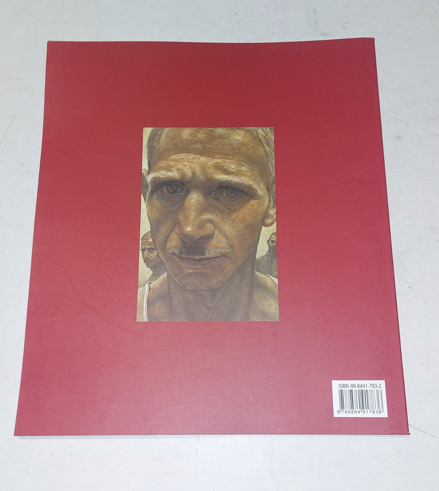 La Ricerca Dell'identita - Altre Solitudini By Vittorio Sgarbi Pb Book1