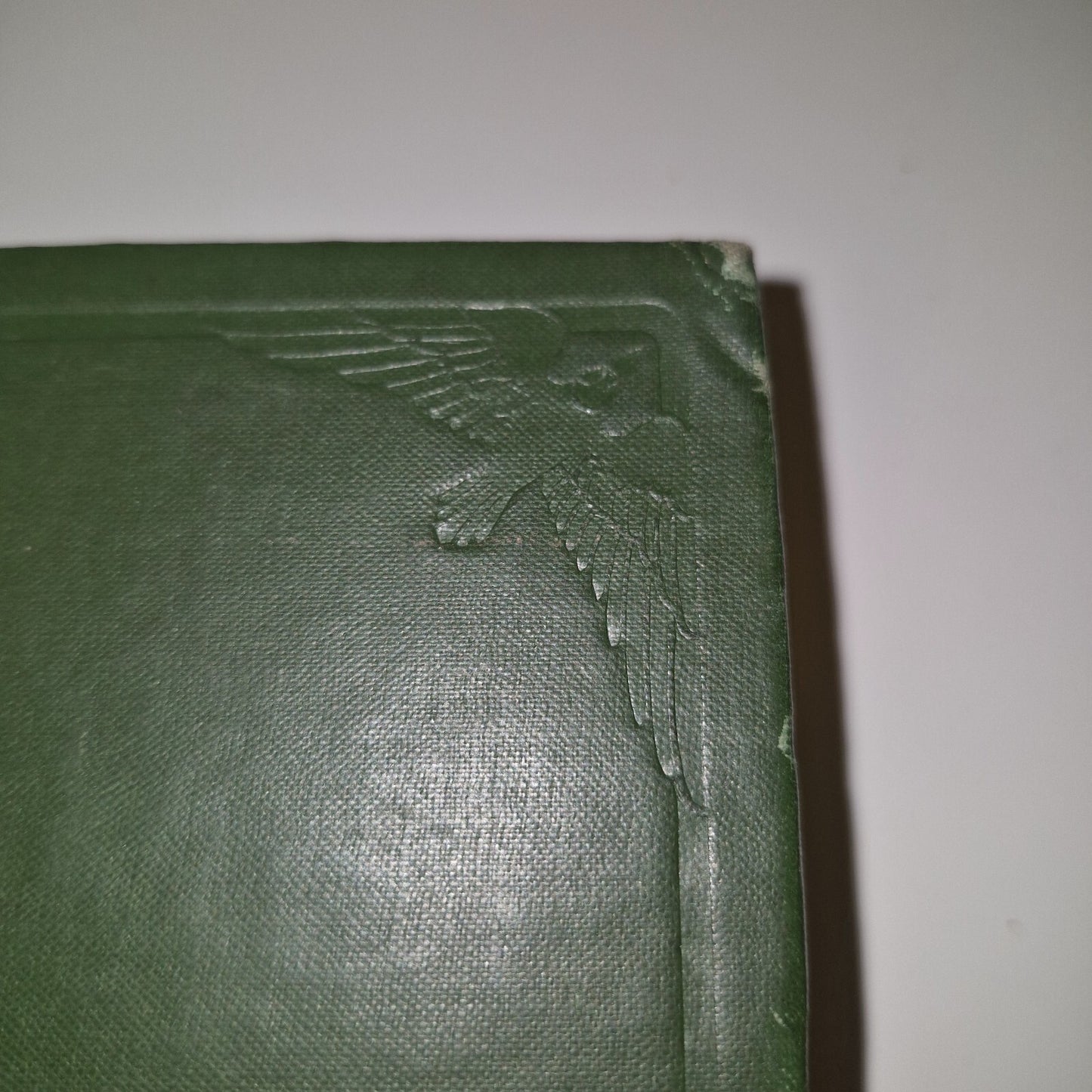 The Bird Its Form And Function By C. William Beebe 19072